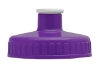 Garyline® Omni Bike Bottle - 20 oz. - Violet lid